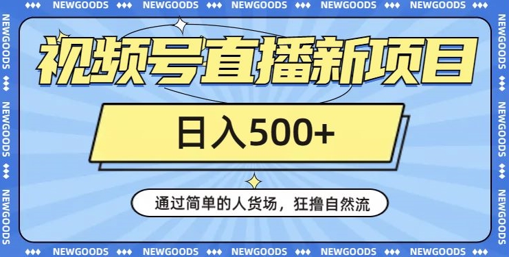 视频号直播新项目,通过简单的人货场,狂撸自然流,日入500+【260G资料】-赚金金-技能学习分享