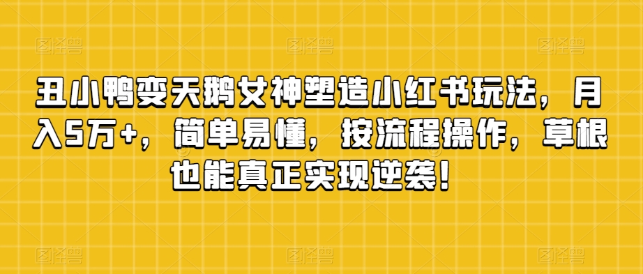 丑小鸭变天鹅女神塑造小红书玩法，月入5万+，简单易懂，按流程操作，草根也能真正实现逆袭！-赚金金-技能学习分享