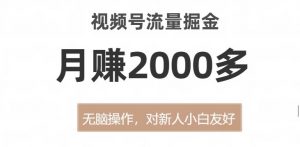 视频号流量掘金,无脑操作,对新人小白友好,月赚2000多【揭秘】-赚金金-技能学习分享