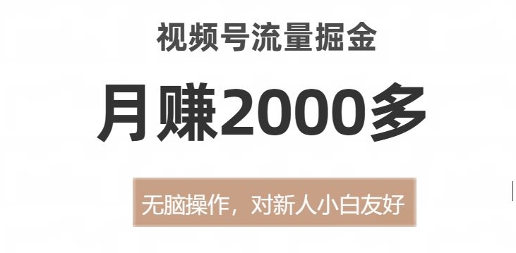 视频号流量掘金，无脑操作，对新人小白友好，月赚2000多【揭秘】-赚金金-技能学习分享