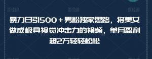 暴力日引500+男粉独家思路,将美女做成极具视觉冲击力的视频,单月盈利超2万轻轻松松-赚金金-技能学习分享