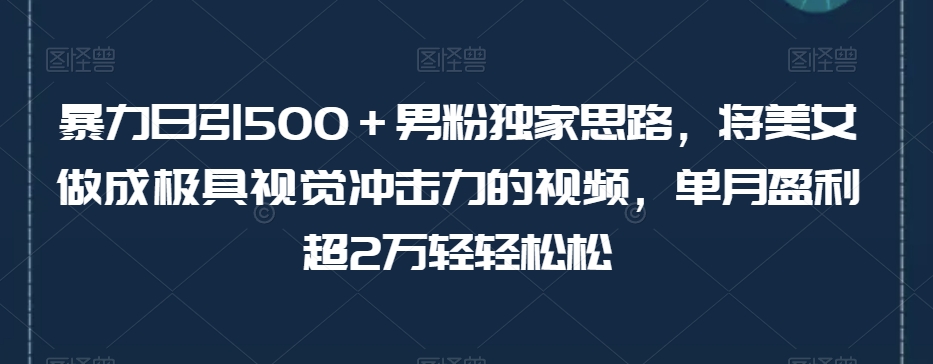 暴力日引500+男粉独家思路,将美女做成极具视觉冲击力的视频,单月盈利超2万轻轻松松-赚金金-技能学习分享