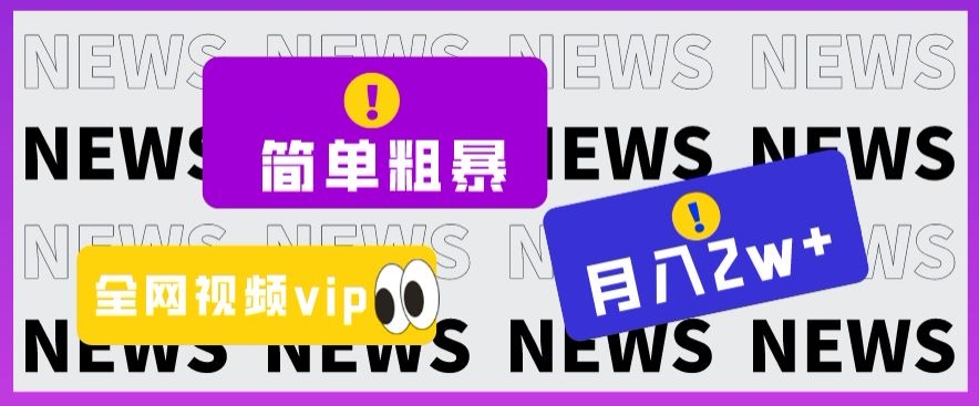 简单粗暴零成本,高回报,全网视频VIP掘金项目,月入2万+【揭秘】-赚金金-技能学习分享