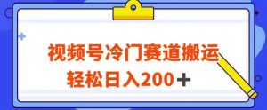 视频号最新冷门赛道搬运玩法，轻松日入200+【揭秘】-赚金金-技能学习分享