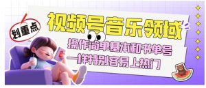 视频号音乐领域项目玩法，操作简单基本和书单号一样，特别容易上热门【揭秘】-赚金金-技能学习分享