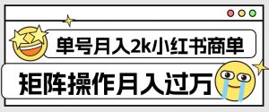 外面收费1980的小红书商单保姆级教程,单号月入2k,矩阵操作轻松月入过万-赚金金-技能学习分享