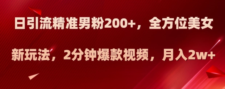 日引流精准男粉200+，全方位美女新玩法，2分钟爆款视频，月入2w+【揭秘】-赚金金-技能学习分享