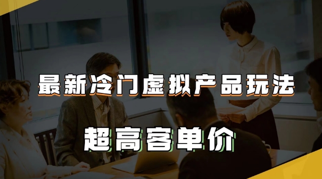 最新冷门虚拟产品玩法，超高客单价，月入2-3万＋【揭秘】-赚金金-技能学习分享