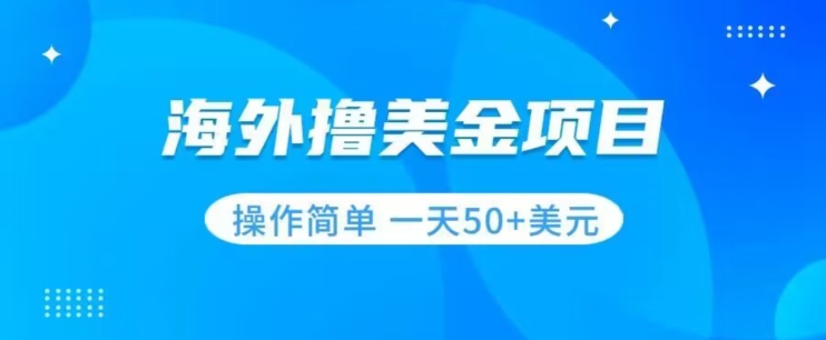 撸美金项目无门槛操作简单小白一天50+美刀-赚金金-技能学习分享
