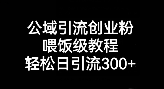 公域引流创业粉，喂饭级教程，轻松日引流300+【揭秘】-赚金金-技能学习分享