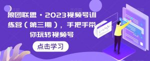 狼团联盟·2023视频号训练营(第三期),手把手带你玩转视频号-赚金金-技能学习分享