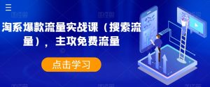 淘系爆款流量实战课(搜索流量),主攻免费流量-赚金金-技能学习分享