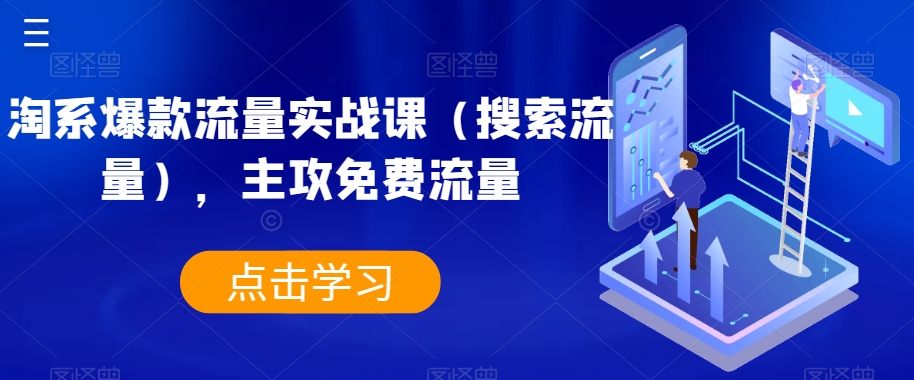 淘系爆款流量实战课（搜索流量），主攻免费流量-赚金金-技能学习分享