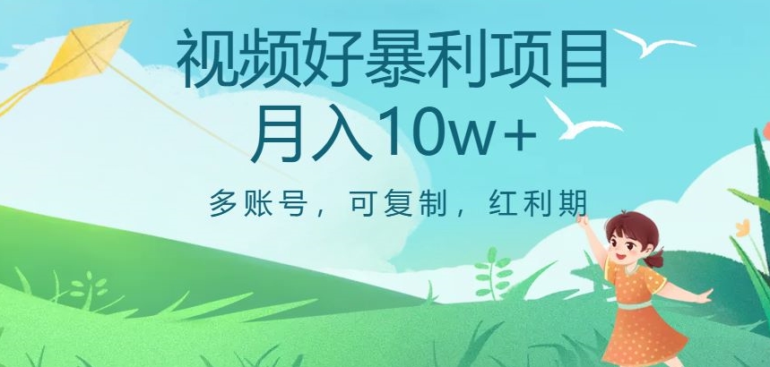 视频号暴利项目，多账号，可复制，红利期，月入10w+【揭秘】-赚金金-技能学习分享