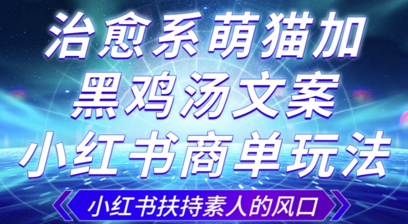 治愈系萌猫加+黑鸡汤文案，小红书商单玩法，3~10天涨到1000粉，一单200左右-赚金金-技能学习分享