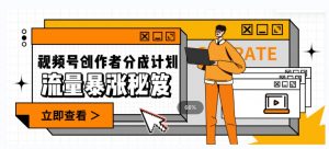 一条视频收益3000+,一条作品涨粉2000+,视频号流量爆炸·的秘籍-赚金金-技能学习分享