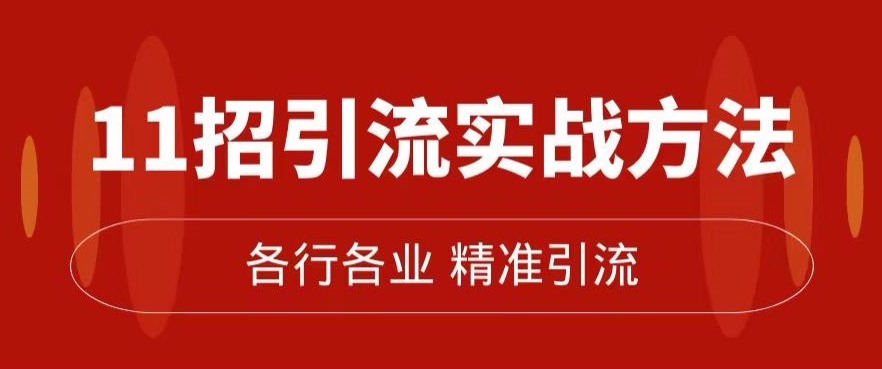精准引流术：11招引流实战方法，让你私域流量加到爆（11节课完整)-赚金金-技能学习分享
