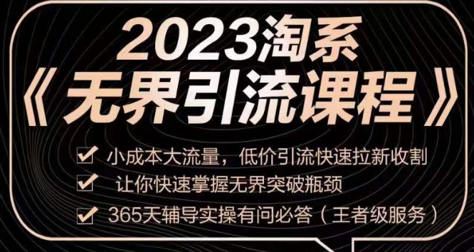 2023淘系无界引流实操课程，​小成本大流量，低价引流快速拉新收割，让你快速掌握无界突破瓶颈-赚金金-技能学习分享