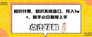 知识付费,知识系统盘口,月入1w+,新手小白直接上手-赚金金-技能学习分享