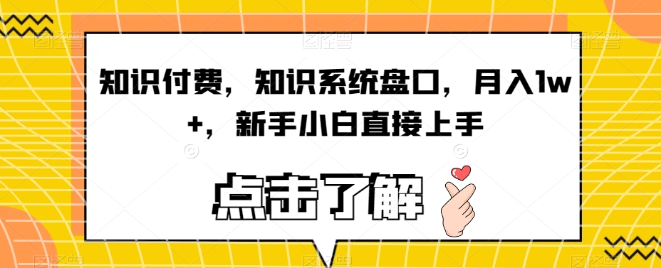 知识付费，知识系统盘口，月入1w+，新手小白直接上手-赚金金-技能学习分享