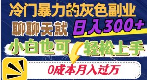 冷门暴利的副业项目，聊聊天就能日入300+，0成本月入过万【揭秘】-赚金金-技能学习分享