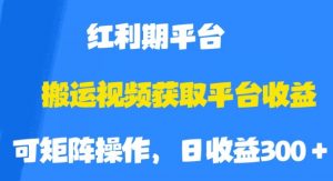 搬运视频获取平台收益,平台红利期,附保姆级教程【揭秘】-赚金金-技能学习分享