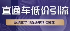 直通车低价引流课,系统化学习直通车精准投放-赚金金-技能学习分享