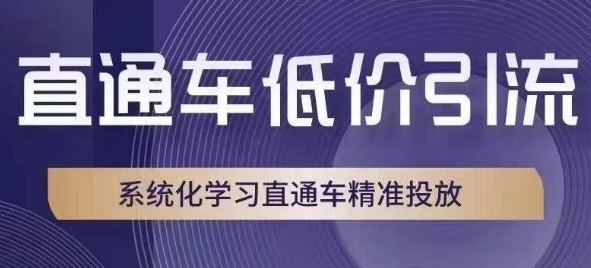 直通车低价引流课，系统化学习直通车精准投放-赚金金-技能学习分享