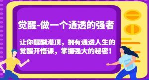 觉醒-做一个通透的强者,让你醍醐灌顶,拥有通透人生的觉醒开悟课,掌握强大的秘密!-赚金金-技能学习分享