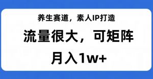 养生赛道,素人IP打造,流量很大,可矩阵,月入1w+【揭秘】-赚金金-技能学习分享