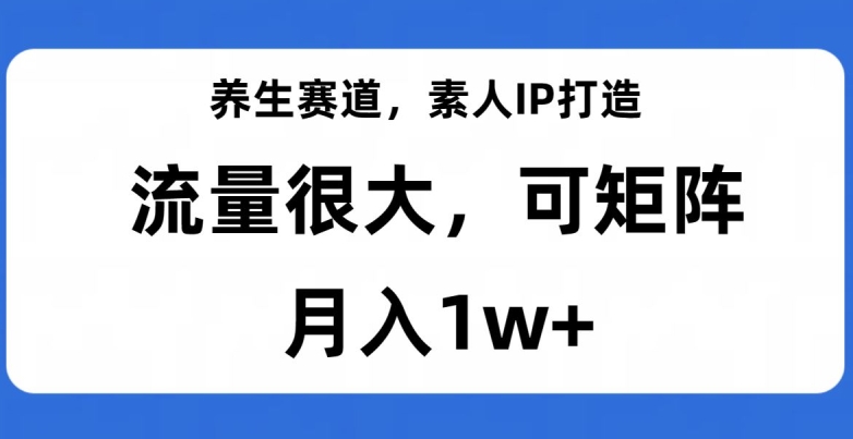 养生赛道，素人IP打造，流量很大，可矩阵，月入1w+【揭秘】-赚金金-技能学习分享