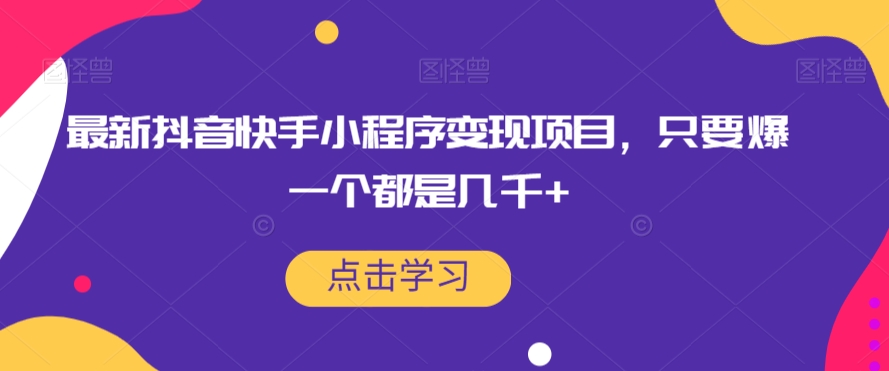 最新抖音快手小程序变现项目，只要爆一个都是几千+-赚金金-技能学习分享