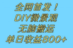 全网首发冷门赛道！DIY微景观，无脑搬运视频，日收益800+【揭秘】-赚金金-技能学习分享