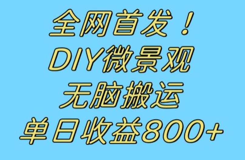 全网首发冷门赛道！DIY微景观，无脑搬运视频，日收益800+【揭秘】-赚金金-技能学习分享