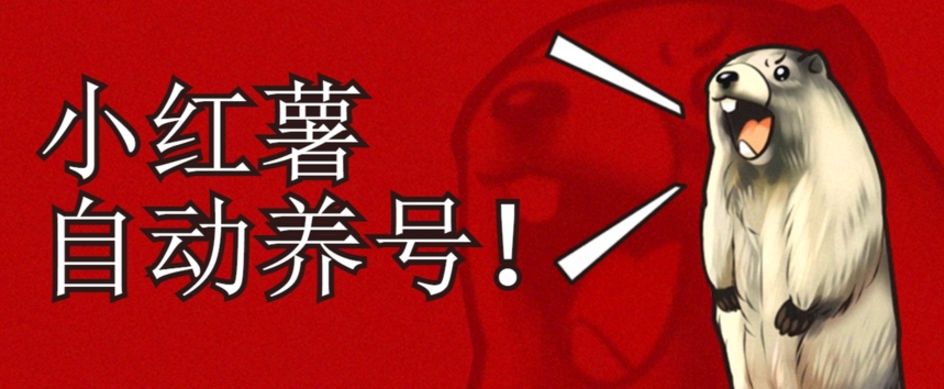 小红书养号秘籍，如何自动涨粉清晰系统标签打造高权重账号【揭秘】-赚金金-技能学习分享