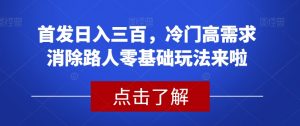 首发日入三百,冷门高需求消除路人零基础玩法来啦【揭秘】-赚金金-技能学习分享