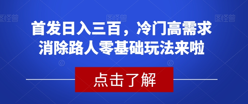 首发日入三百，冷门高需求消除路人零基础玩法来啦【揭秘】-赚金金-技能学习分享