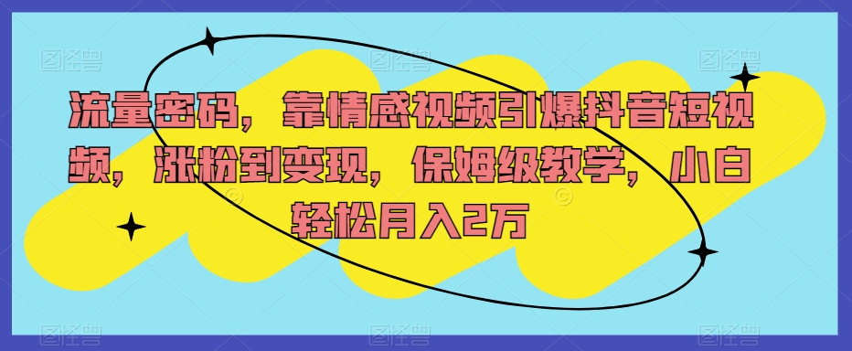 流量密码，靠情感视频引爆抖音短视频，涨粉到变现，保姆级教学，小白轻松月入2万【揭秘】-赚金金-技能学习分享