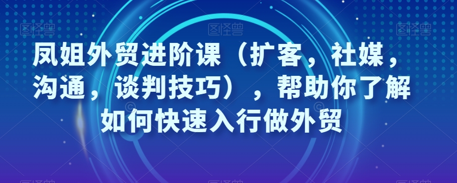 凤姐外贸进阶课（扩客，社媒，沟通，谈判技巧），帮助你了解如何快速入行做外贸-赚金金-技能学习分享