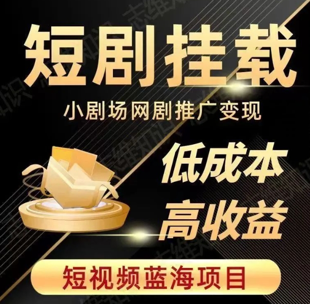 2023短视频蓝海项目，抖音快手短剧推广变现教程，低成本高收益-赚金金-技能学习分享