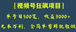 日收款500笔，纯利润3000+，视频号狂飙项目，会简单剪辑就能做【揭秘】-赚金金-技能学习分享