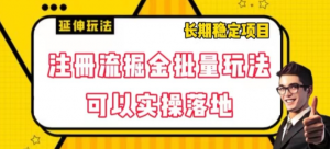 注册流掘金批量玩法,可以实操落地【揭秘】-赚金金-技能学习分享
