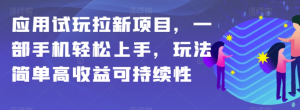 应用试玩拉新项目,一部手机轻松上手,玩法简单高收益可持续性【揭秘】-赚金金-技能学习分享