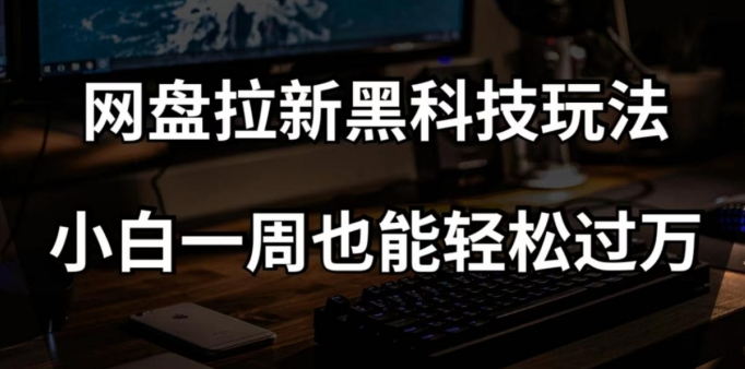 网盘拉新黑科技玩法，小白一周也能轻松过万【全套视频教程+黑科技】【揭秘】-赚金金-技能学习分享
