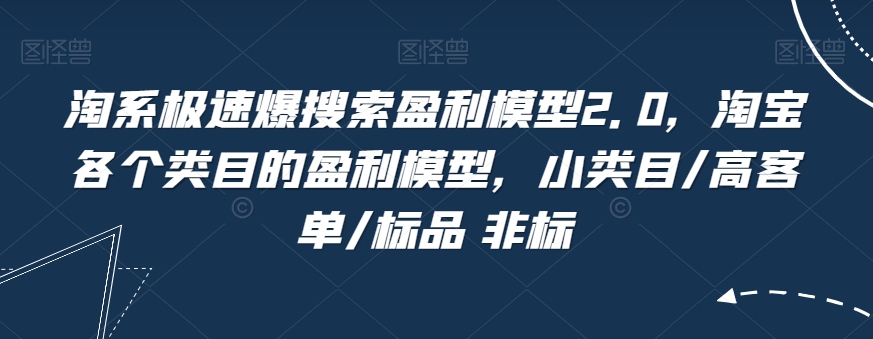 淘系极速爆搜索盈利模型2.0，淘宝各个类目的盈利模型，小类目/高客单/标品 非标-赚金金-技能学习分享