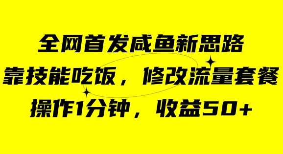 咸鱼冷门新玩法，靠“技能吃饭”，修改流量套餐，操作1分钟，收益50【揭秘】-赚金金-技能学习分享