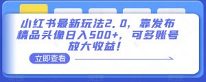 小红书最新玩法2.0,靠发布精品头像日入500+,可多账号放大收益!【揭秘】-赚金金-技能学习分享