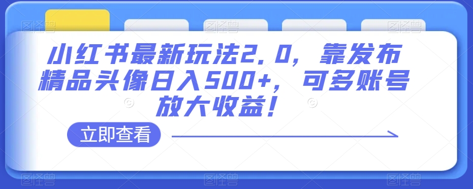 小红书最新玩法2.0，靠发布精品头像日入500+，可多账号放大收益！【揭秘】-赚金金-技能学习分享