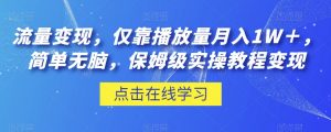 流量变现,仅靠播放量月入1W+,简单无脑,保姆级实操教程【揭秘】-赚金金-技能学习分享