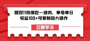 蹭双11热度吃一波肉,单号单日收益100+可复制放大操作【揭秘】-赚金金-技能学习分享